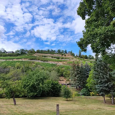 Riesling - Wohnen Im Weinberg In Der Toskana Des Nordens Ferienhaus Freyburg (Unstrut)