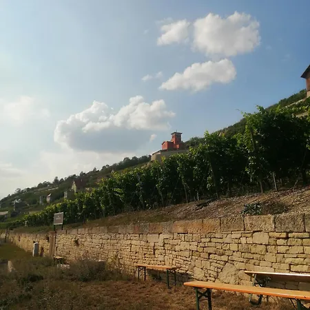 Riesling - Wohnen Im Weinberg In Der Toskana Des Nordens Ferienhaus Freyburg (Unstrut)