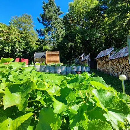 Riesling - Wohnen Im Weinberg In Der Toskana Des Nordens بيت للعطل فرايبورغ
