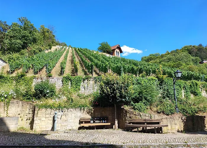 Vakantiehuis Riesling - Wohnen Im Weinberg In Der Toskana Des Nordens *