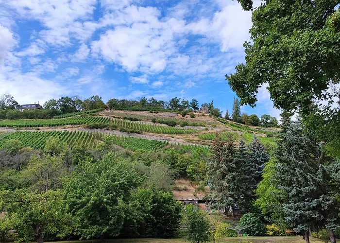 Riesling - Wohnen Im Weinberg In Der Toskana Des Nordens Vakantiehuis Freyburg