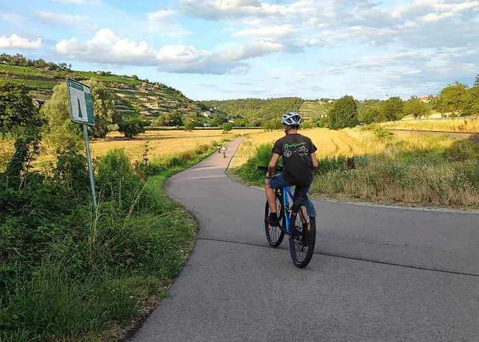 Riesling - Wohnen Im Weinberg In Der Toskana Des Nordens