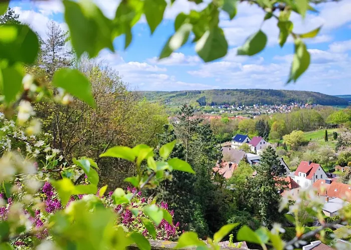 Riesling - Wohnen Im Weinberg In Der Toskana Des Nordens Vakantiehuis