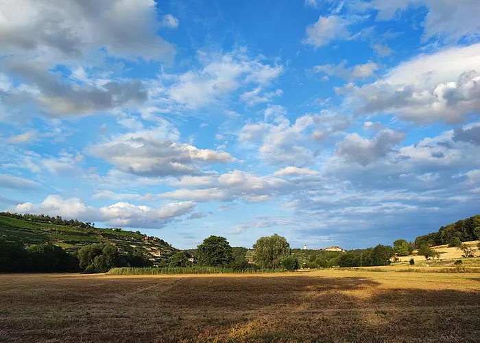 Riesling - Wohnen Im Weinberg In Der Toskana Des Nordens Vakantiehuis *
