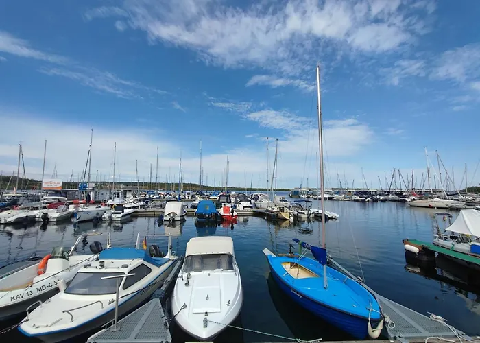 Riesling - Wohnen Im Weinberg In Der Toskana Des Nordens Freyburg