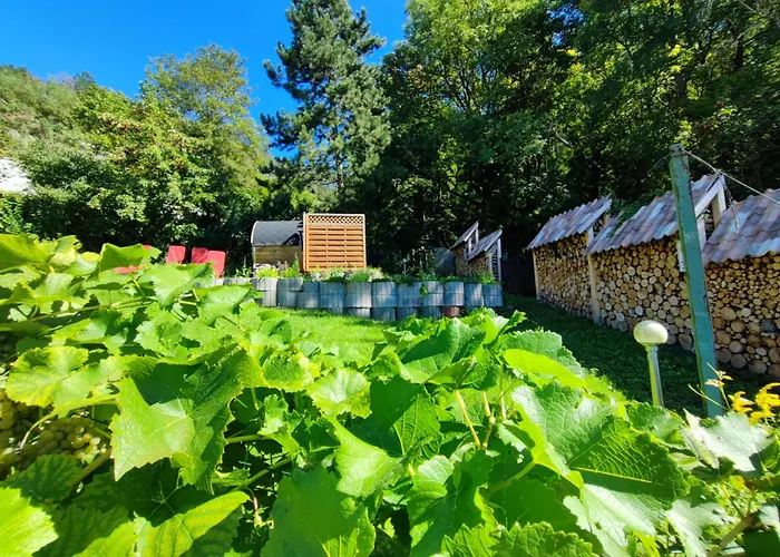 Riesling - Wohnen Im Weinberg In Der Toskana Des Nordens بيت للعطل فرايبورغ